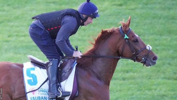 Vauban is bidding to become the fifth Irish-trained winner of the Melbourne Cup