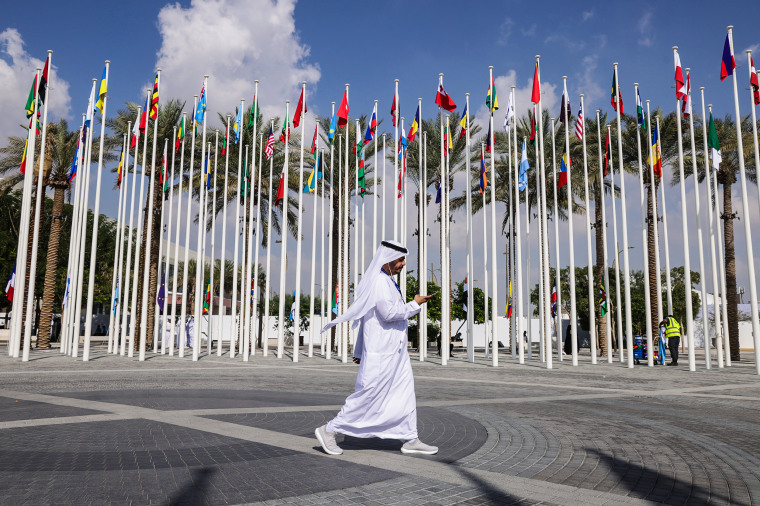 Image: A man walks past flags of nations participating in the UNFCCC COP28 Climate Conference